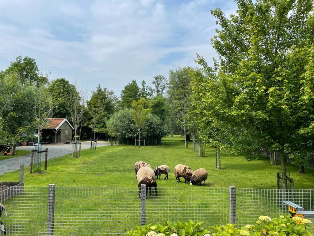 Flora'S B&B Landsmeer Eksteriør bilde