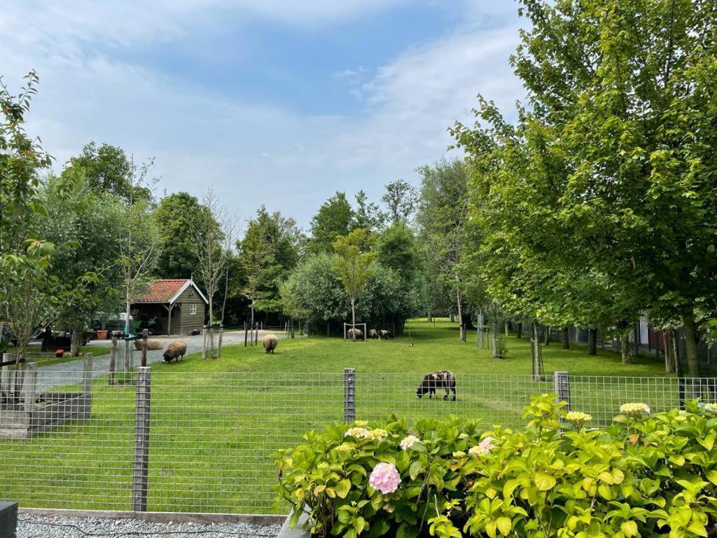 Flora'S B&B Landsmeer Eksteriør bilde
